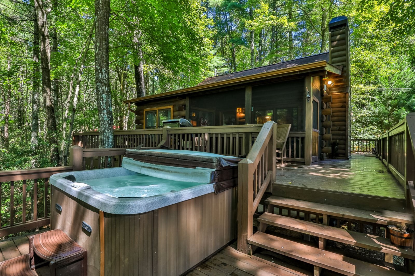 Blue Sky Cabin Rentals: Treeborn Lodge