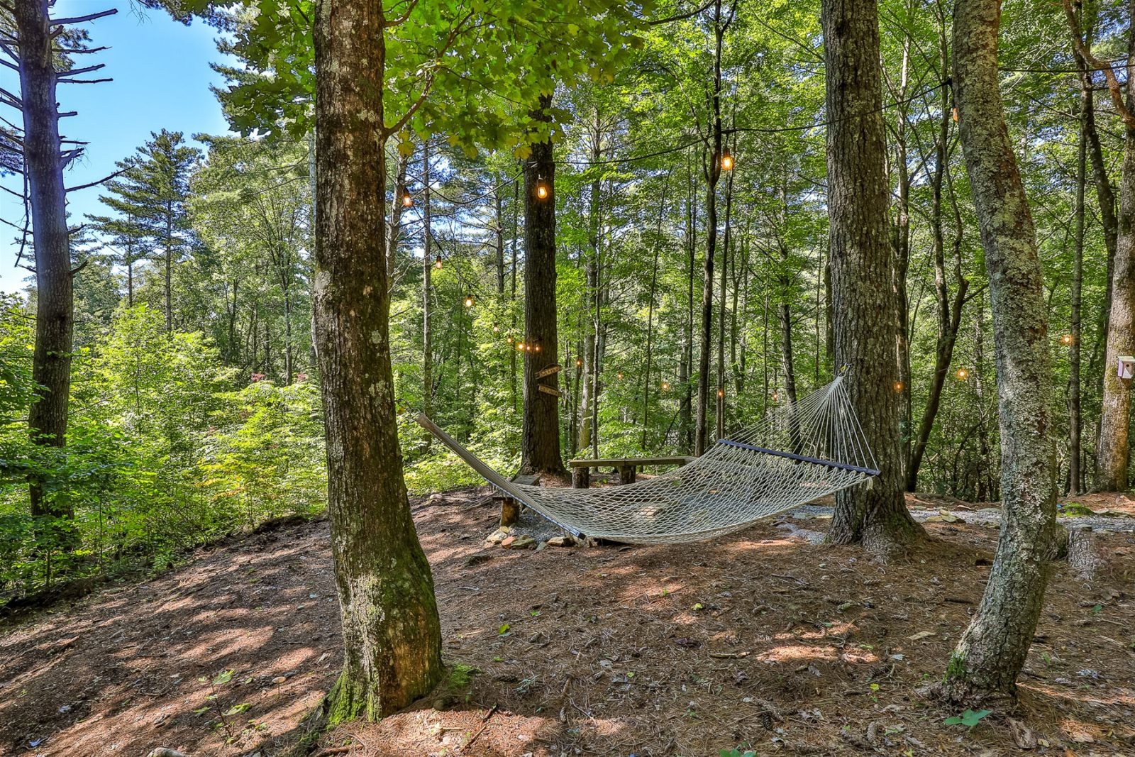 blue-sky-cabin-rentals-treeborn-lodge