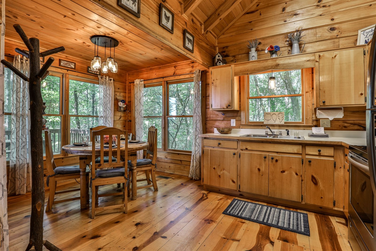 Blue Sky Cabin Rentals Treeborn Lodge
