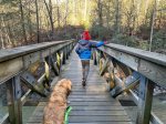 The walk across the bridge is amazing 