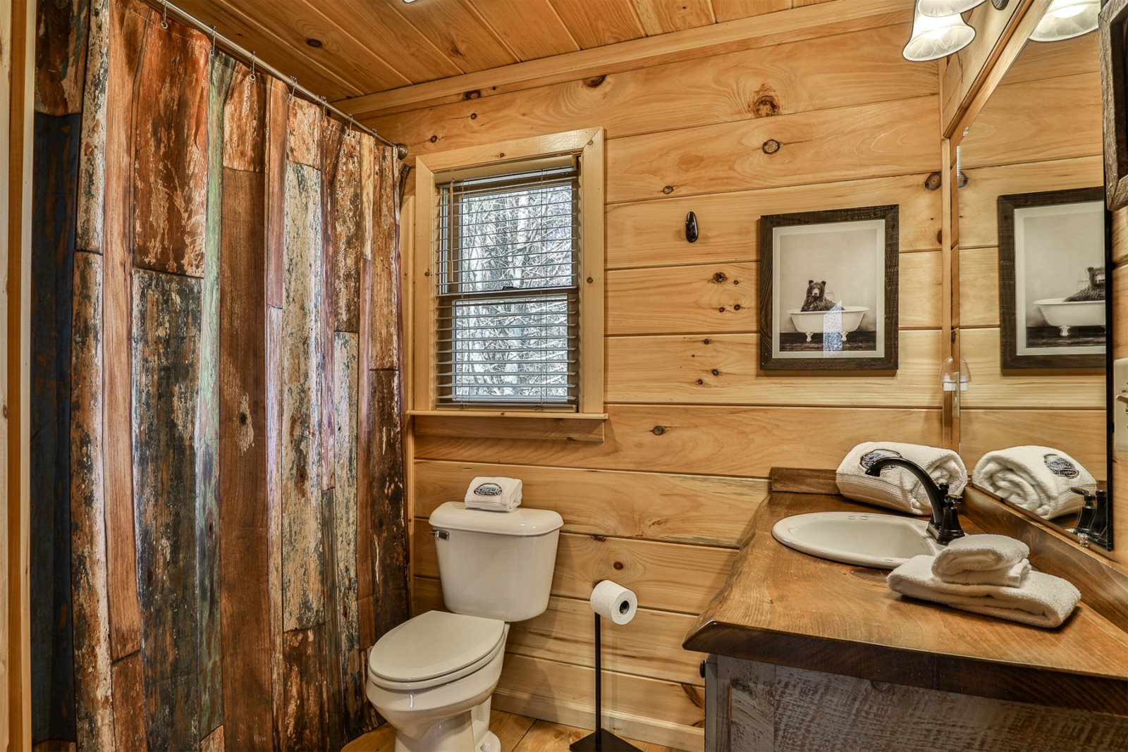 Blue Sky Cabin Rentals: Ellijay Creekside