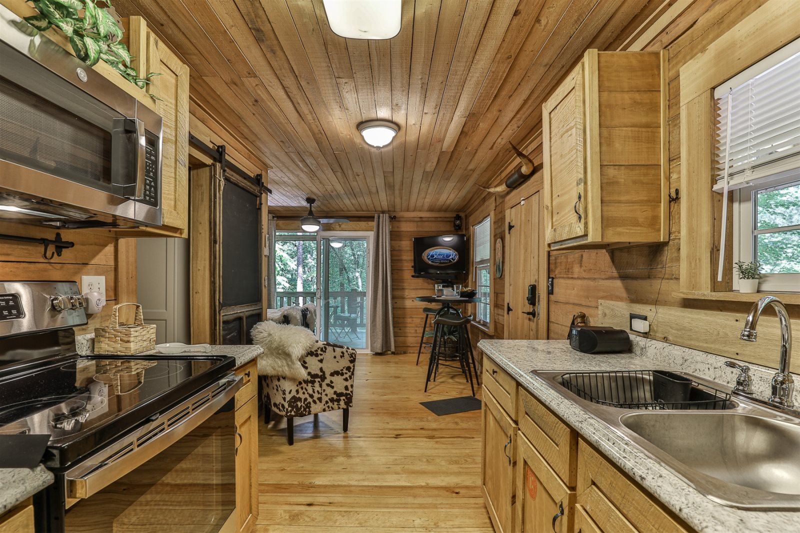 Blue Sky Cabin Rentals: Bear Necessities