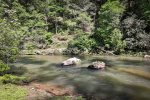 Take A Hike Down To Mountaintown Creek 