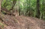 Easy Trail Path To The Waterfall 