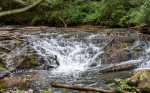 Enjoy Nature`s Beauty 