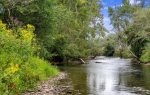 Mountaintown Creek Farms Has So Much To Offer 