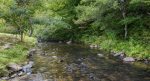 The Streams Of Mountaintown Creek Farms 