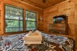 Main Level Queen Bedroom With TV