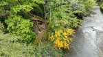 The Cartecay River 