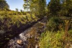 Flowing Creek Around The Property 