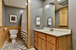 Lower Level Bathroom 