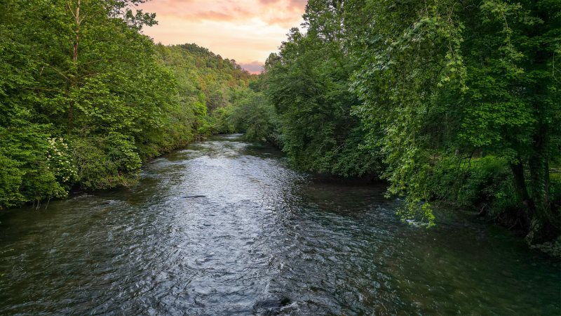 Blue Sky Cabin Rentals Lofty Pines On The Cartecay
