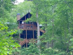 Treetop Mountain Lodge