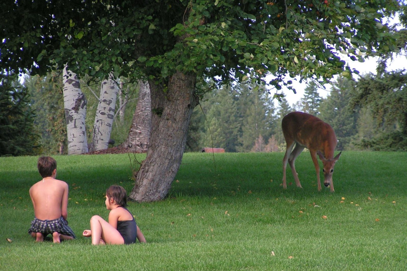 2 Bedrooms Mountain Harbor Rentable Boat Slip Whitefish Vacation