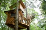 Observatory Tree House