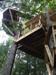 View up from mud room