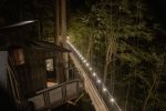 Night lights  