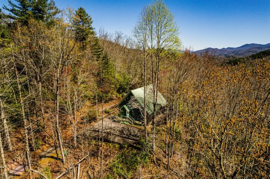 Laurel Branch Pet Friendly Bryson City Vacation Cabin Rental