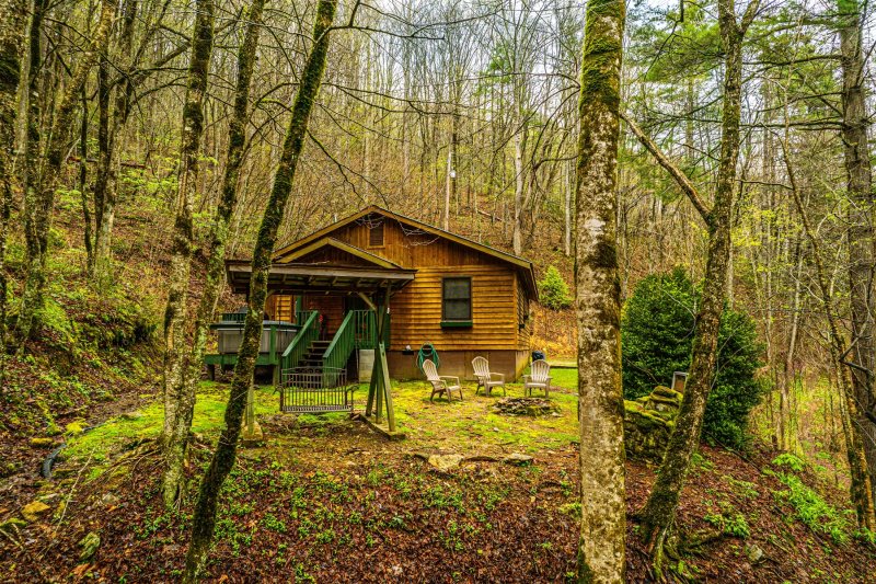 Dragonfly Cabin Secluded Pet Friendly Vacation Rental In The