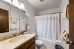 Lower Level Bathroom 