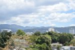 View From Apartment 