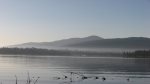 A misty view from the FeatherNest Dock