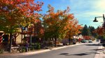 Shopping, Dining, and Nightlife in the Village