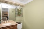 Lower level guest bath
