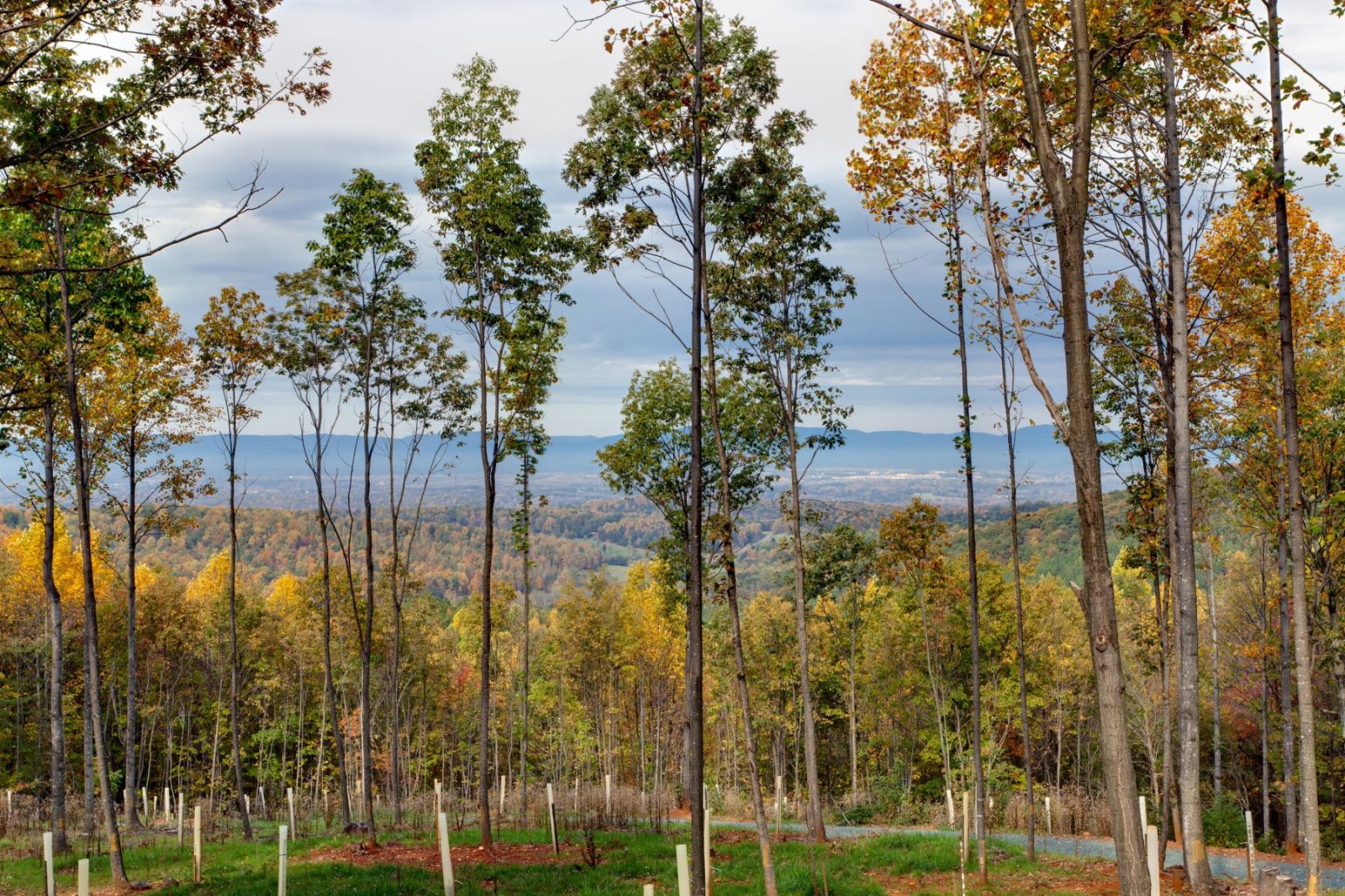 Broadhead Mountain Retreat Mountain Views Overlooking Charlottesville