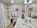 Shower and tub in guest bathroom - newly 2024 remodeled