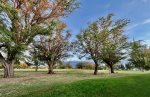 Surrounding beautiful grounds with soft end of day lighting