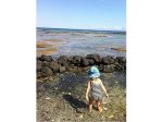 Puako tide pools are great for all ages and for treasure hunting.