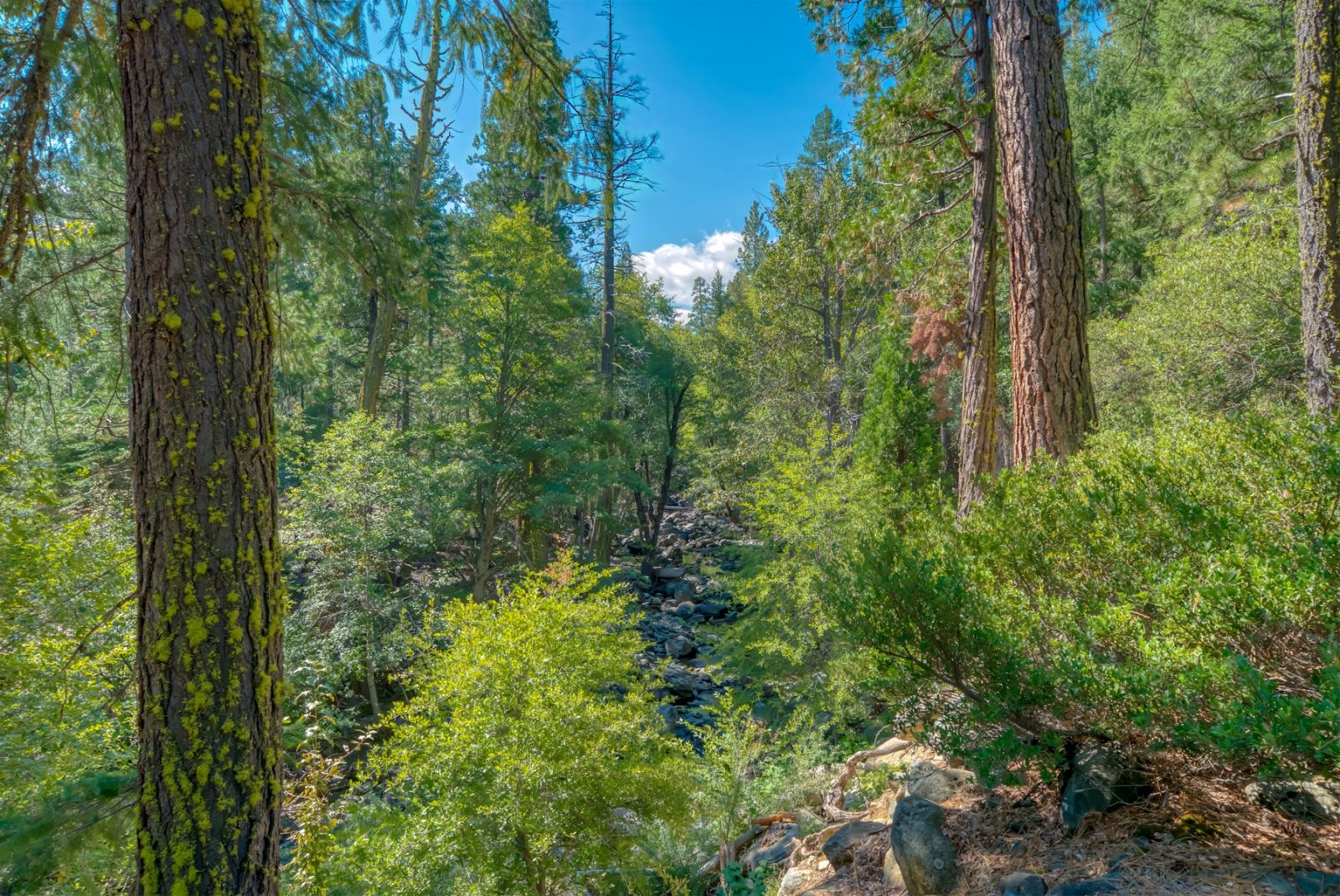 24 Wishram Plumas Pines Vacation Homes and Rentals