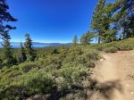 Views from the Tahoe Rim Trail