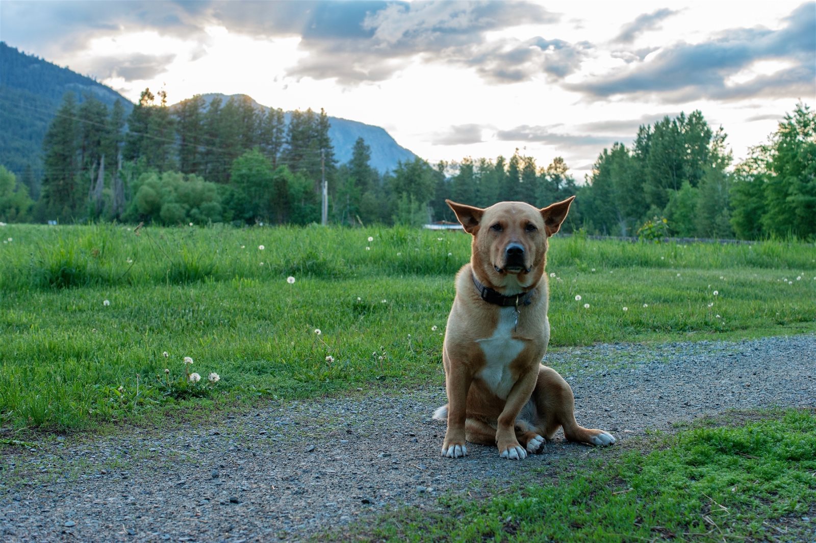 Pet Friendly Lodging in Winthrop WA Methow Valley Cabin Rentals Hot tub
