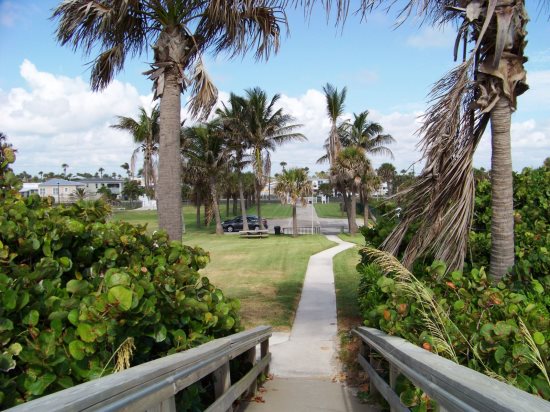 Nettles Coastal Realty - V917 R DS 38 - FL