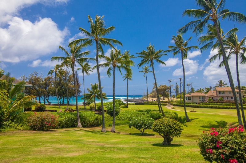 Manualoha 609 | Kauai Oceanview Condo Rental | Brenneckes Beach