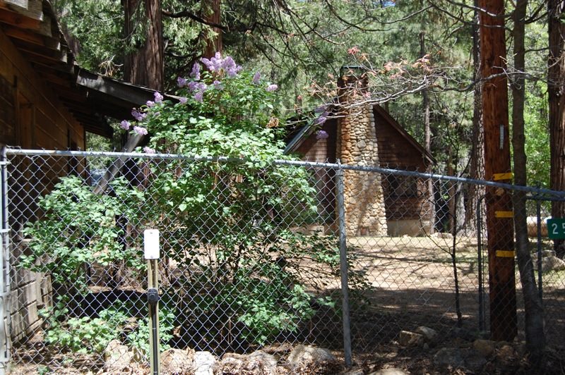 Idyllwild Vacation Rentals, Idyllwild Lodging, Idyllwild Cabins, homes