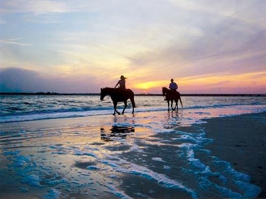 Amelia Island Vacation Rentals Amelia Island Vacation Rental