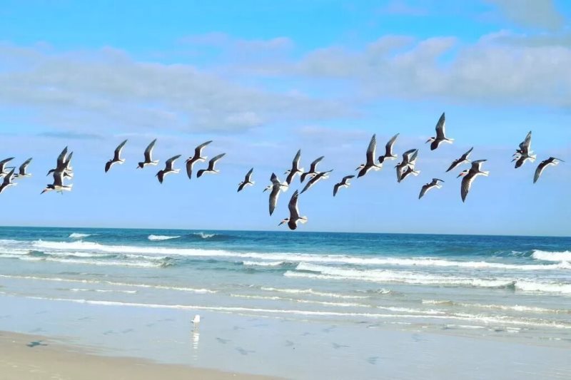 15th Street House St Augustine Fl Endless Summer Vacation Rentals