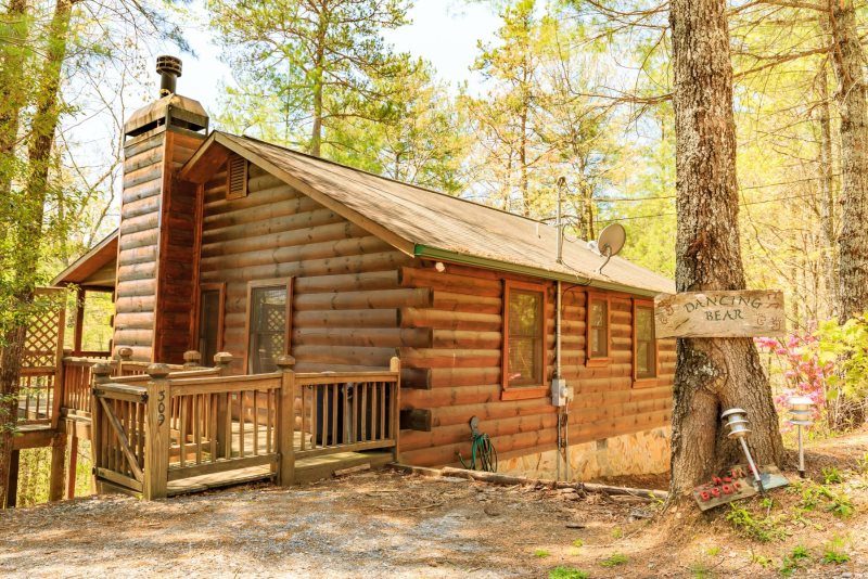 Black Bear Lodge Rental Cabin Blue Ridge Ga