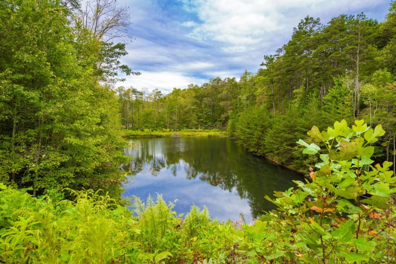 Lucky Lake Secluded Lake Cabin Blue Ridge Mountain Rentals