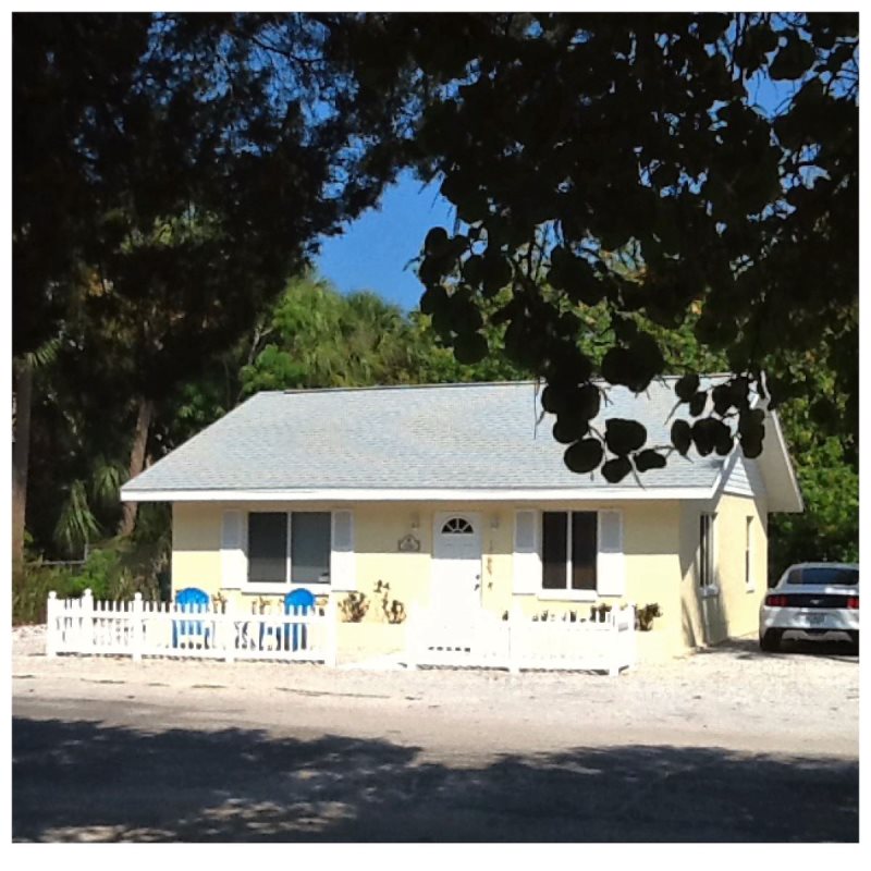 Fran Maxon Real Estate Inc 116 Palmetto Ave Fl