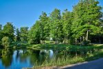 Association pond 