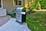 Propane BBQ grill for meals outside 