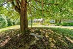 Fun swing in the front yard 