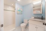 Lower level full bathroom with a walk in shower 