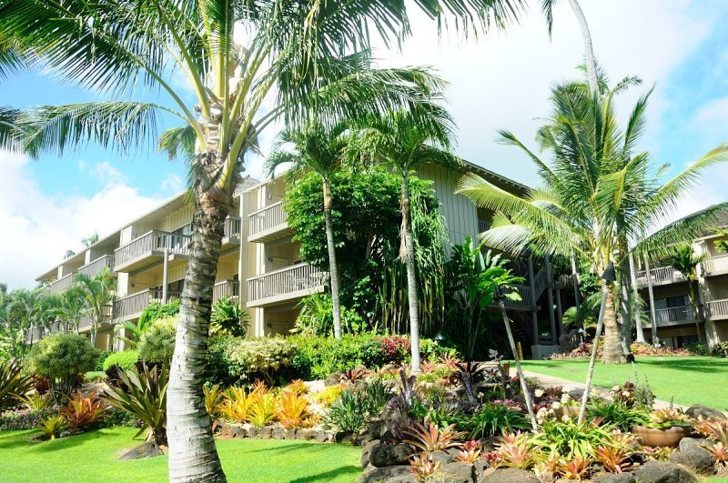 beachfront Kauai, vacation condo , Kauai vacation condo, condo rental kauai