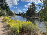 Canal Pathway in the backyard