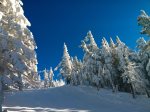 Winter Wonderland 